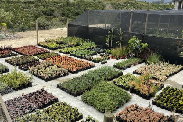 Welgelegen Nursery Construction – June 2020