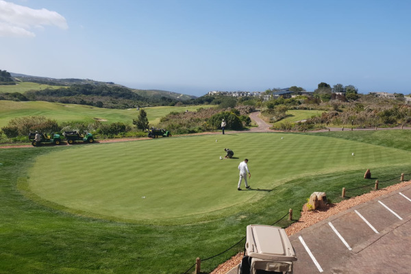 Pezula – New chipping and putting greens construction 2018