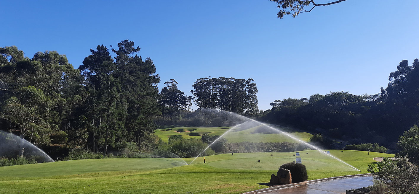 Turfworx gallery