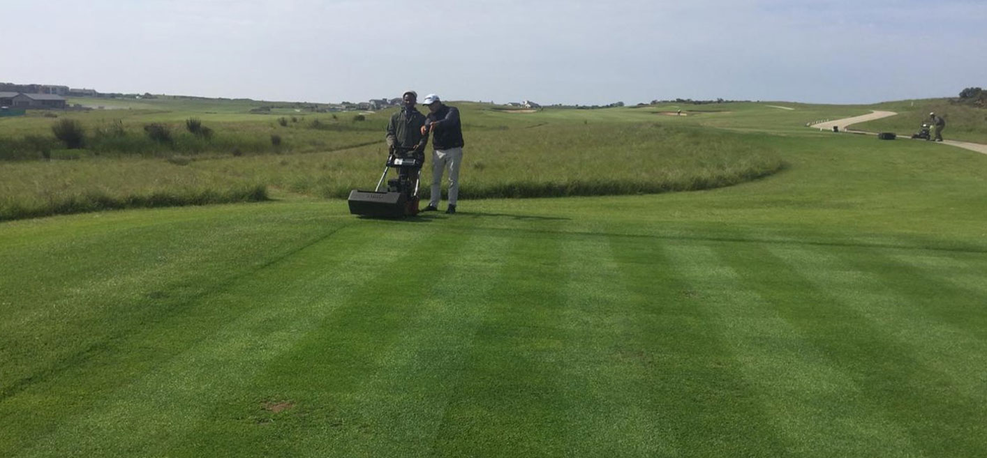Turfworx gallery