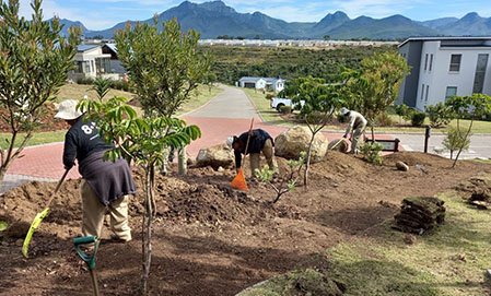 Corporate Garden Maintenance, Construction and Upgrades