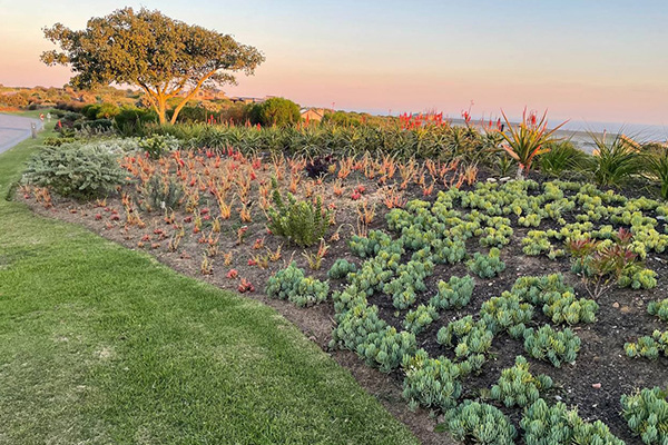 SALI awards of excellence: Oubaai Golf Estate