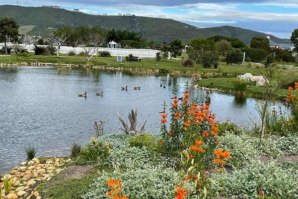 SALI awards of excellence: Thesen Island Residential Estate