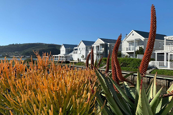 SALI awards of excellence: Thesen Island