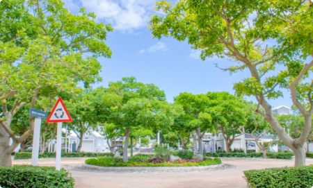 Estate Maintenance, Construction and Upgrades