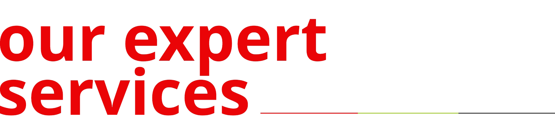Our expert services
